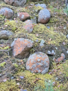 kiviä metsärinteessä